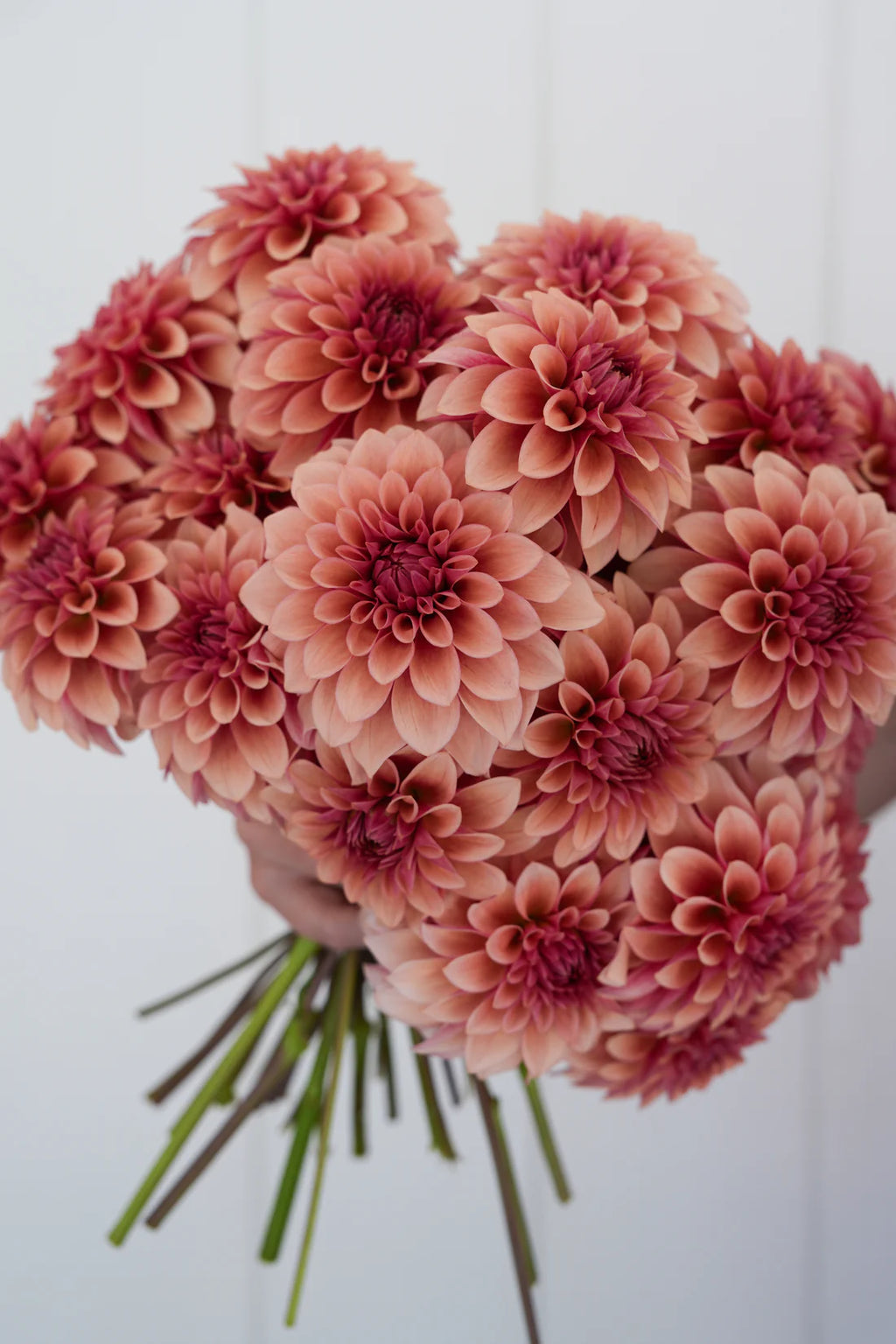 Dahlia RM Rose Gold