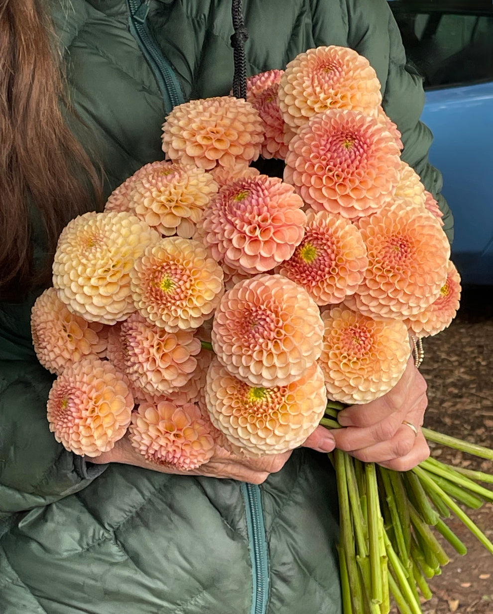 Dahlia KA's® Honeycomb